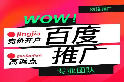 百度广告投放策略优化及成功案例解析